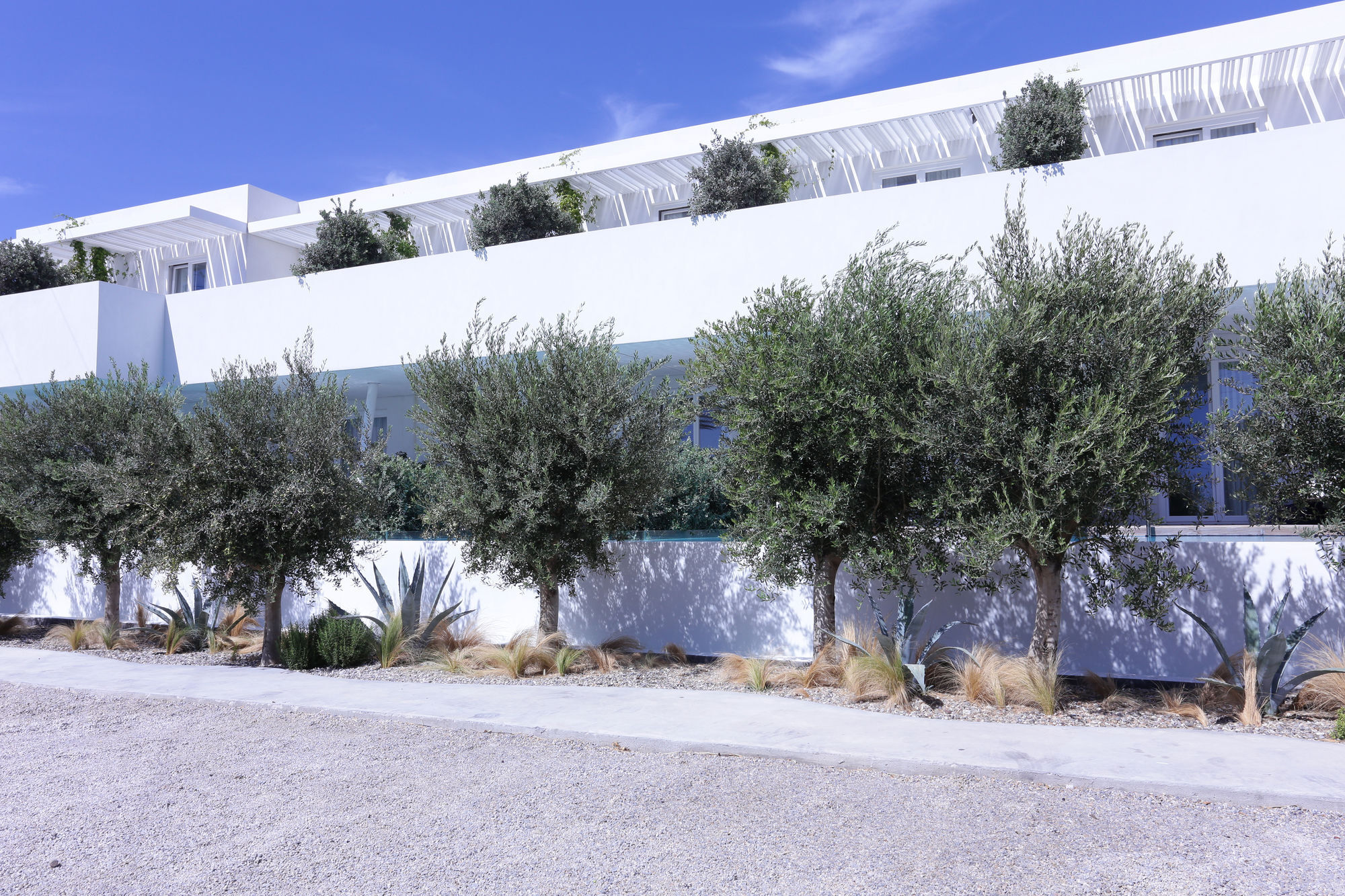 Mykonos Dove Beachfront Hotel Platys Gialos  Buitenkant foto